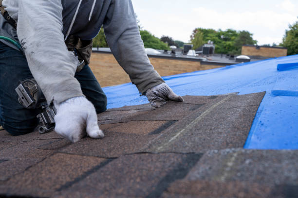 Gutter Installation and Roofing in Middleport, OH