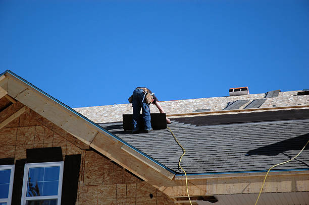 Best Roof Gutter Cleaning  in Middleport, OH